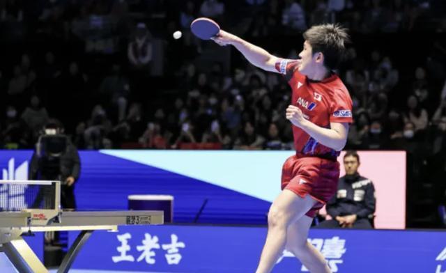 关于法国乒乓球队完胜德国乒乓球队，张本智和送出助攻的信息